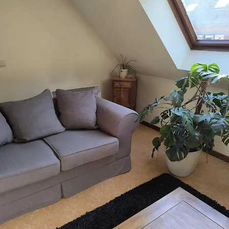 Apartment Magnolia