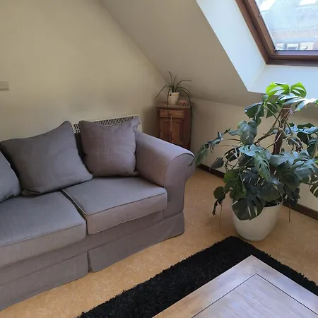 Magnolia Apartment *